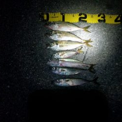 ファミリーフィッシング　GAME